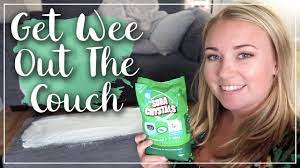 How to clean cat urine from couch. Get Urine Smells Out Of Fabric Wee On Couch Pet Odor And Toilet Training Lotte Roach Youtube