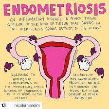 'welcome to the jungle' im #wellnessgarten. Pin Auf Surgery