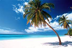 Ein beliebtes urlaubsziel der deutschen gibt nun grund zur hoffnung: Reisen In Der Dominikanischen Republik Urlaub Mit Reise Rat