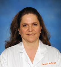 Lane Sullivan Anderson, DVM