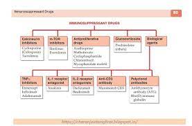 Pin On Pharmacological