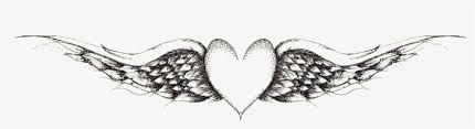 (step 13) continue to draw curved lines in the longer wings. Contact Heart With Wings Drawing Transparent 2779x648 Png Download Pngkit