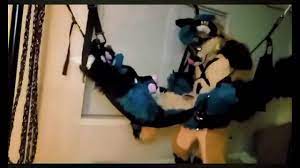 Furry Tied Up and Fucked - XVIDEOS.COM