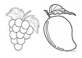 Download now 20 gambar sketsa kumpulan gambar sketsa bunga pemandangan. Mewarna Gambar Buah Buahan Tempatan