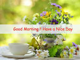 Following are our best collection and creation of beautiful good morning images. Have A Nice Day Images Free Download
