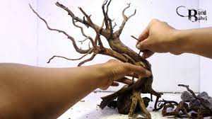 Membuat Bonsai Aquascape Sederhana 3 Youtube Aquascape Aquarium Landscape Bonsai