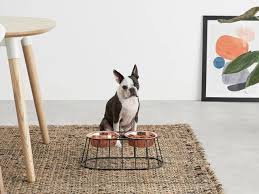 Get recessed light fixture at target™ today. Stylish Pet Home Accessories You Ll Want To Show Off Goodhomes Magazine Goodhomes Magazine