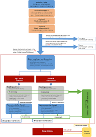 Flow Chart Of The Screening Study Dbt Digital Breast