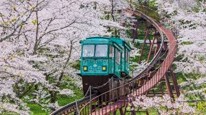 Study Abroad in Japan | UCEAP