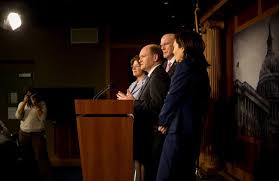 The domestic violence act 1994 provides that any of the following acts will amount to domestic violence (acts of domestic violence):3. Senate Votes To Expand Domestic Violence Act The New York Times