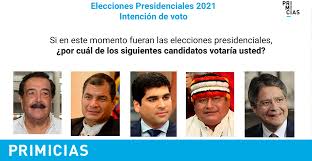 Las elecciones intermedias de méxico 2021 en tiempo real: 120 Quitenos Opinan Sobre Los Candidatos Que Se Perfilan Para Las Elecciones De 2021