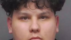 Hugh Jackman takes to nature as he continues to heal amid Deborra-Lee  Furness divorce