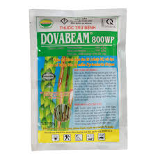 Dovabeam 800WP