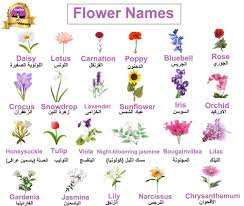 Learning Arabic Msa Fabiennem Flower Names Flowers Learning Arabic