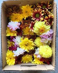 Here we've photographed the (super) simple steps to putting together your cheap wedding bouquets, and making them look damn cute too. How I Spent 100 On Wedding Flowers Decor Welcome Objects
