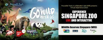 Virtual Experience Of Singapore Zoo Creative Yatra