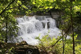 Forest Park
