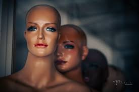 Not a thought behind those eyes