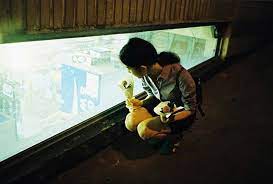 You'll find beautiful beaches, national parks, and ancient temples at these destinations. Honjok South Korea S Loner Movement The Independent Singapore News