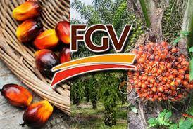 Felda global ventures holdings sdn. Fgv 5222 Felda Global Ventures Holdings Bhd New Shareholders Sharetisfy