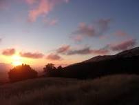 Summer Solstice Saunter