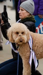 Utahns celebrate milestones in women's voting rights while recognizing the  fight continues