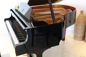 We did not find results for: Can A Grand Piano Be Stored On Its Side
