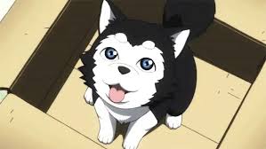 Dog Cute Gif Dog Cute Anime Discover Share Gifs A husky is a sled dog used in the polar regions. dog cute gif dog cute anime discover share gifs