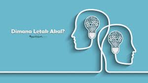 Dimana Letak Akal Manusia Berada Di Otak Atau Di Hati Ini Jawabannya Manusia Otak Tuhan