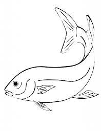 There are three main categories of colors: Free Printable Fish Coloring Pages For Kids Fish Coloring Page Fish Sketch Fish Drawings
