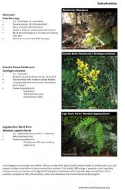 Rare Plant Identification Carolina Climbers Coalition