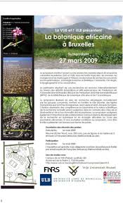 Image result for Cynorkis symoensii