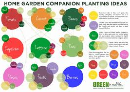 30 companion planting chart for vegetables tate publishing