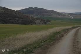 • (n) valea dunării, delta dunării, • (v) valea dunării, • (s) graniţa cu bulgaria, • (e) marea neagră. PodiÈ™ul Dobrogei Obiective Turistice ConstanÅ£a DeÈ™tepÈ›i Ro