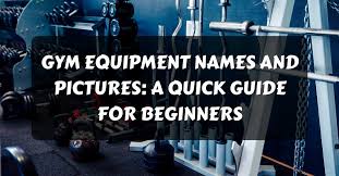 gym equipment names and pictures a