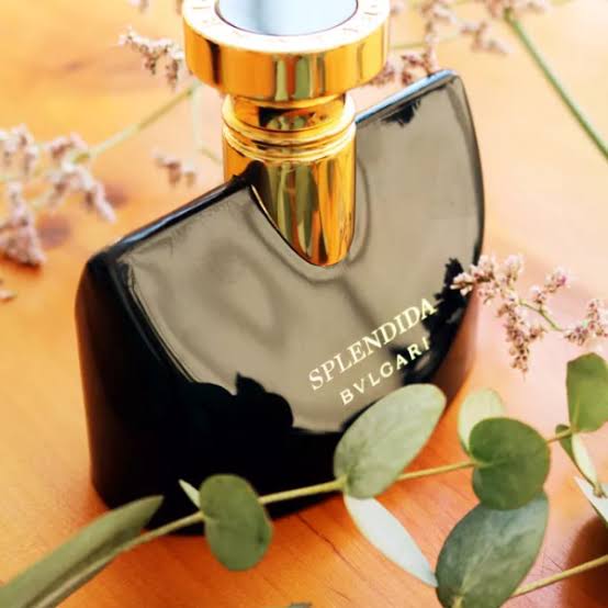 Nước Hoa Nữ Bvlgari Splendida Jasmin Noir EDP