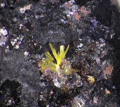 Image result for Flaschengruen 1982 AA