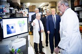 More than 32.3 million confirmed cases have been reported since january 2020, resulting in more than 575. Coronavirus In The Us Number Of Cases Deaths And Where The Virus Is Spreading Vox