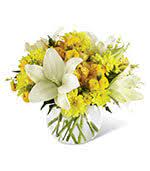 Check spelling or type a new query. Flowers To Bluefield College Bluefield Virginia Va Same Day Delivery To Campus And Dormitories By A Local Florist In Bluefield