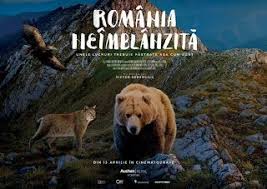 Bacăul Economic Documentarul Romania Neimlanzită Rulează In Bacă Brown Bear Animals Bear