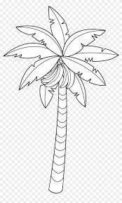Browse our black and white tree clipart wallpaper. 28 Collection Of Banana Tree Clipart Black And White Banana Tree Line Drawing Png Download 1318144 Pikpng