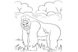 Gorilla Coloring Page Gorillas Are Ground Dwelling Predominantly Herbivorous Apes That Inh Jungle Coloring Pages Free Printable Coloring Pages Coloring Pages