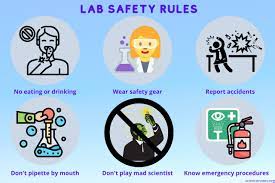 See more ideas about safety posters, health and safety poster, safety. Safety Rules In The Laboratory Pdf