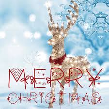 We did not find results for: Animated Merry Xmas Friends Christmas Wishes Gif Novocom Top