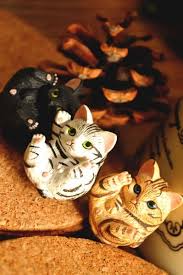 life quotes and tips cats life stuffed mushrooms