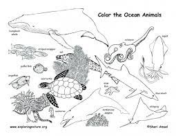 Color and learn about habitats on exploringnatureorg. Animal Habitats Coloring Worksheets 99worksheets