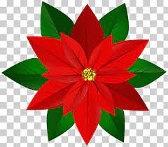 See more of flor de pascua on facebook. Flor De Pascua Png Klipartz