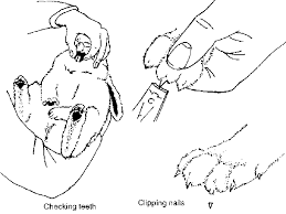 Chapter 8 The Rabbit