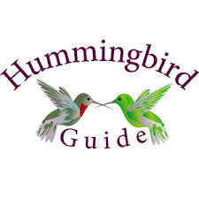 Check spelling or type a new query. Hummingbird Nectar Recipe How To Make Homemade Hummingbird Food