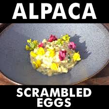 Ada 20 gudang lagu spiced tuna fishcakes gordon ramsay terbaru, klik salah satu untuk download lagu mudah dan cepat. Gordon Ramsay Alpaca Scrambled Eggs Gordon Ramsay Facebook